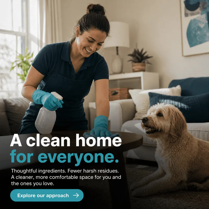 Cleaning sample post: Clean home tip