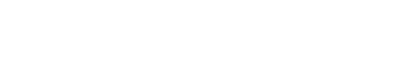 Business Genie
