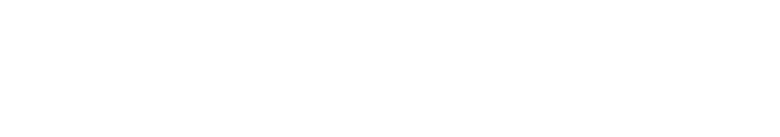 Saenz Global